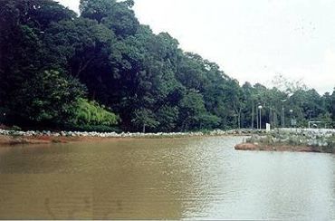 Imagem de destaque para Recanto Municipal da Árvore